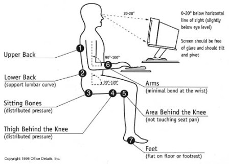 ergonomic guide